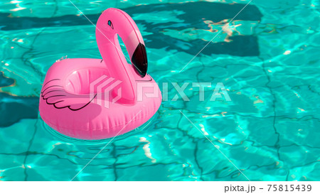 Summer fun beach. Pink inflatable flamingo in pool water for summer beach background. Funny bird toy for kids. Summer fun beach. Pink inflatable flamingo in pool water for summer beach background. Funny bird toy for kids. 75815439