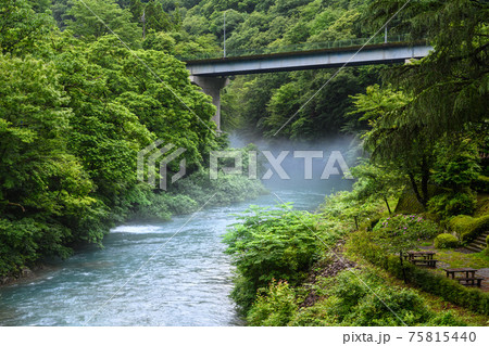 川霧 川霧 75815440