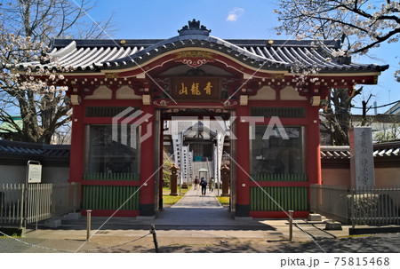 東京都浄光寺 75815468