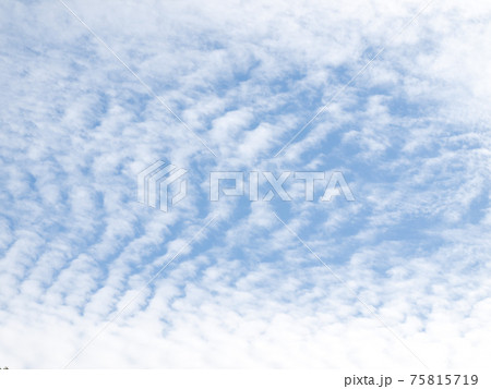 青空に一面の白い雲 鱗雲 うろこぐも 鯖雲 さばぐも 鰯雲 いわしぐも 巻積雲 けんせきうん の写真素材