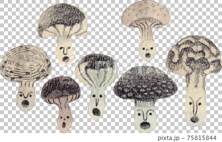 Singing mushroom Singing mushroom 75815844