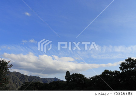 青空と雲(層積雲) 青空と雲(層積雲) 75816398