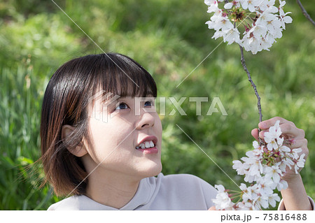 桜の花と女性のポートレート 桜の花と女性のポートレート 75816488