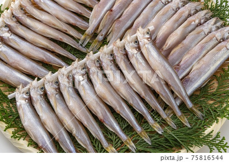 北海道の美味しいししゃも 75816544