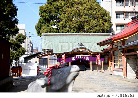 堺戎神社　(大阪府堺市) 75816563