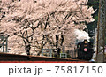風景、 75817150