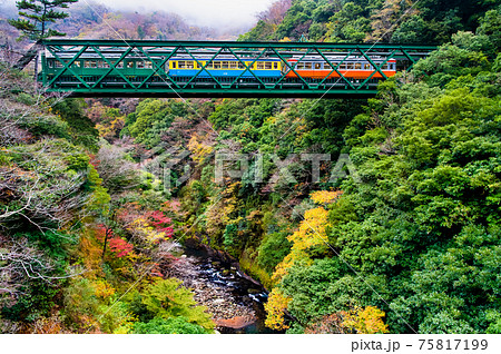 神奈川県 箱根登山鉄道　紅葉の早川橋梁を渡る旧型車両 75817199