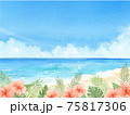 海とハイビスカスと青空　夏の背景　水彩イラスト 75817306