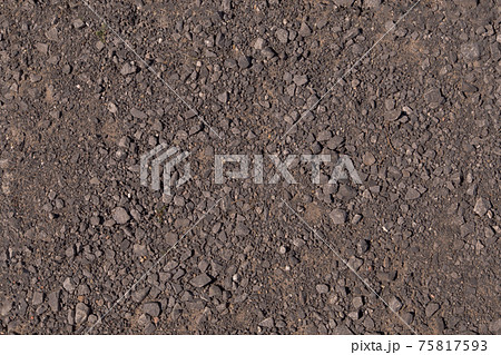 カナダ　小石　砂利の地面 75817593