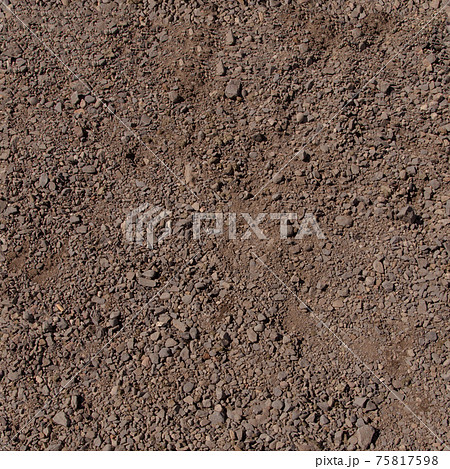 カナダ　小石　砂利の地面 75817598