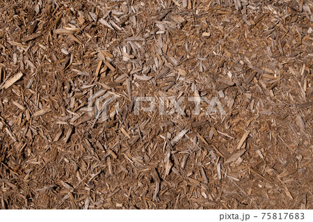 カナダ　細かい木片の地面 75817683