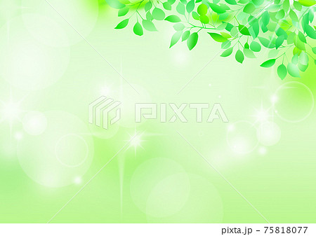 新緑の背景のイラスト素材