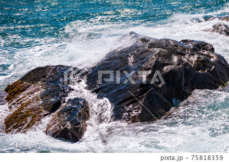Sea waves of dark water beat against the coastal rocks. An infinite number of splashes, drops of water and white foam are scattered. 75818359