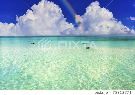 沖縄の美しいサンゴ礁の海にかかる虹 沖縄の美しいサンゴ礁の海にかかる虹 75818771