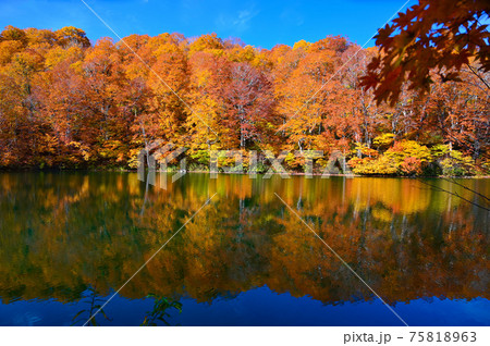 鎌池　秋の紅葉　信州小谷村 75818963