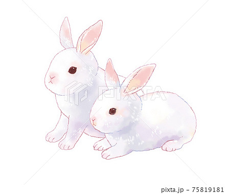 Illustration Of Two Cute Rabbits Stock Illustration