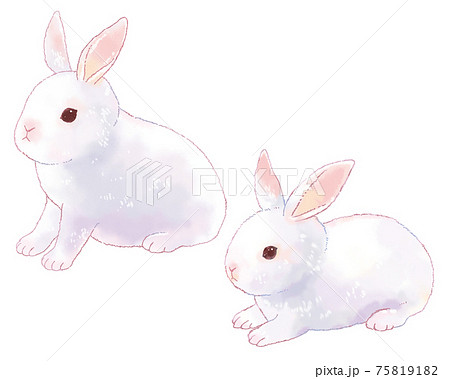 Illustration Of Two Cute Rabbits Stock Illustration