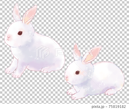 Illustration Of Two Cute Rabbits Stock Illustration