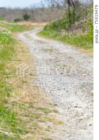 ダート 未舗装路 田舎の道路の写真素材