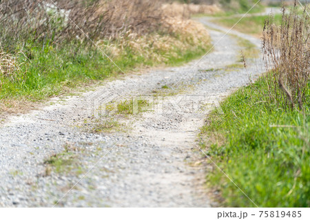 ダート・未舗装路 田舎の道路 ダート・未舗装路 田舎の道路 75819485