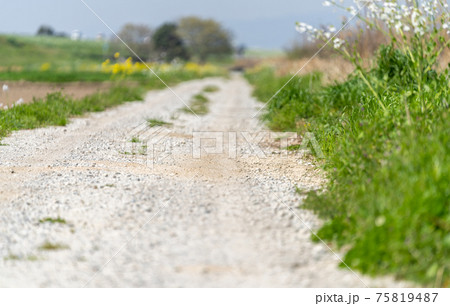 ダート・未舗装路　田舎の道路 75819487