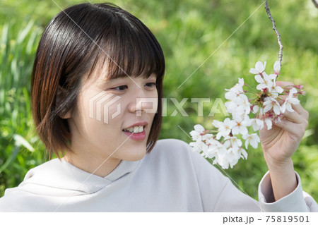 桜の花と女性のポートレート 桜の花と女性のポートレート 75819501