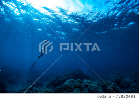 海の中のマーメイド 75820491