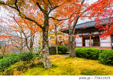 神奈川県 紅葉の箱根美術館 富士見亭 神奈川県 紅葉の箱根美術館 富士見亭 75821929