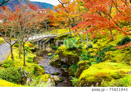 神奈川県 紅葉の箱根美術館　苔庭 75821943