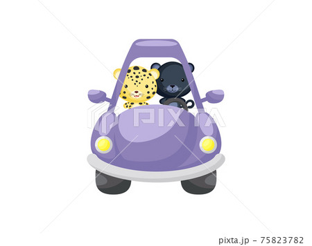 Cute little jaguar and panther driving purple car. Cartoon character for childrens book, album, baby shower, greeting card, party invitation, house interior. Vector stock illustration. Cute little jaguar and panther driving purple car. Cartoon character for childrens book, album, baby shower, greeting card, party invitation, house interior. Vector stock illustration. 75823782