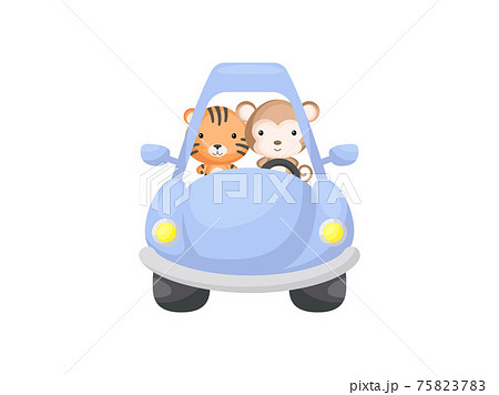 Cute little tiger and monkey driving blue car. Cartoon character for childrens book, album, baby shower, greeting card, party invitation, house interior. Vector stock illustration. 75823783