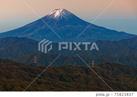 大菩薩嶺稜線から見る朝焼けの富士山 75823837