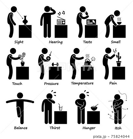 Human Senses Stick Figure Pictogram Icons. A set of human pictogram representing all the important senses of a human.  75824044
