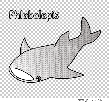 古代魚 フレボレピス Phlebolepis ジンベイザメに似た姿のアゴがない魚 イラスト ベクター 75824280