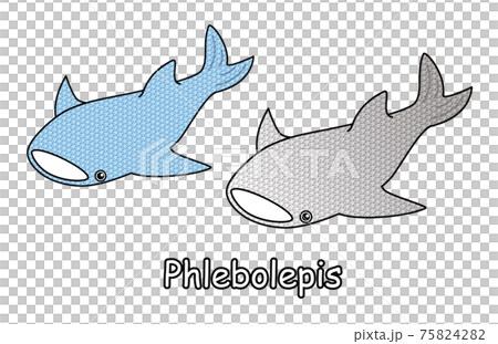 古代魚 フレボレピス Phlebolepis ジンベイザメに似た姿のアゴがない魚 イラスト ベクター 75824282