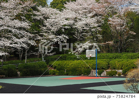 岳ノ木場公園(長崎県大村市) 岳ノ木場公園(長崎県大村市) 75824784