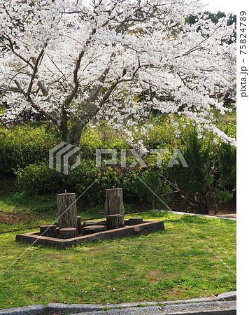 岳ノ木場公園(長崎県大村市) 岳ノ木場公園(長崎県大村市) 75824789