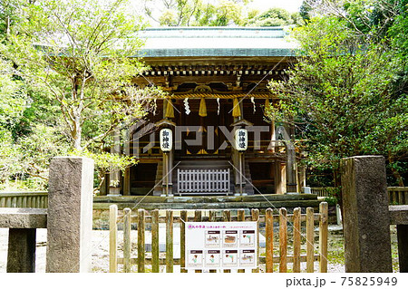 伊豆 下田 白濱神社 御本殿 伊豆 下田 白濱神社 御本殿 75825949