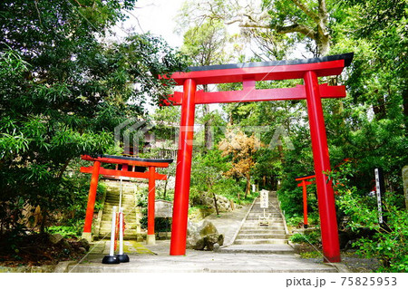 伊豆 下田 白濱神社 御本殿への参道 伊豆 下田 白濱神社 御本殿への参道 75825953