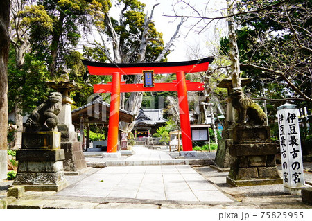 伊豆 下田 白濱神社 伊豆 下田 白濱神社 75825955