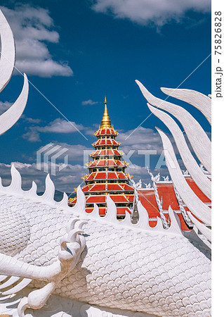 Wat Huay Pla Kang, white big buddha and dragons in Chiang Rai, Chiang Mai province, Thailand 75826828