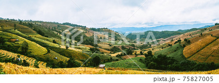 Landscape of Rice terraces on mountain at Ban Pa Pong Piang, Doi inThanon, Chiang Mai, Thailand Landscape of Rice terraces on mountain at Ban Pa Pong Piang, Doi inThanon, Chiang Mai, Thailand 75827005