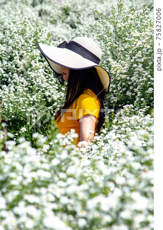 Flower Farm in Chiang Mai Province, Thailand Flower Farm in Chiang Mai Province, Thailand 75827006