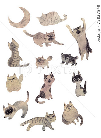 猫の集会 75827849