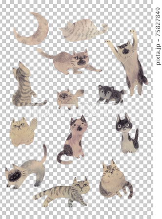 猫の集会 75827849