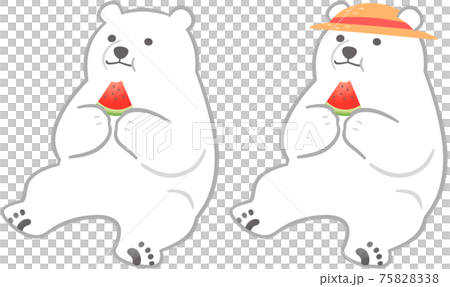 Two polar bears that eat watermelon Two polar bears that eat watermelon 75828338