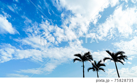 綺麗な雲が広がる青い空とヤシの木がある夏の風景 沖縄 の写真素材