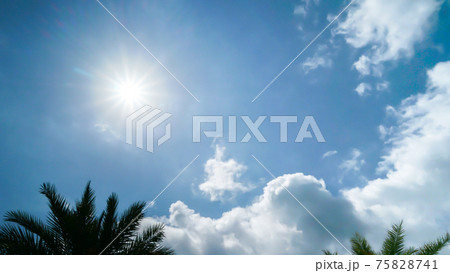 太陽が輝く青空と白い雲とヤシの木がある夏空の写真素材
