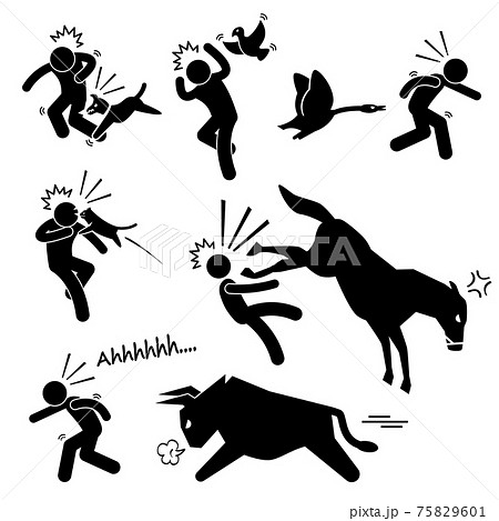 Domestic Animal Attacking Hurting Human Stick Figure Pictogram Icon.  75829601