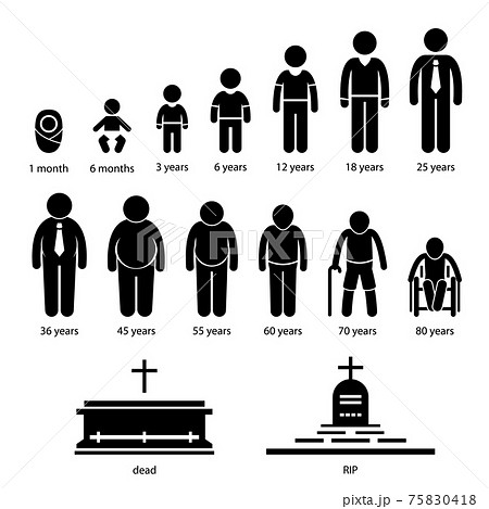 Man Human Aging Growing Process Pictograms. A set of pictograms representing human aging process with stages and development. 75830418
